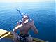 Avatar von swordfish23