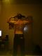 Avatar von Deacon99