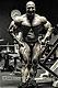 Avatar von bodybuildingsteve