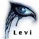 Avatar von levii