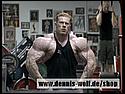 dennis_wolf_the_beginning_2_36.jpg