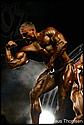 920A0258_prot.jpg