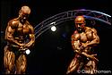 IMG_0287_prot.jpg