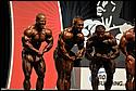 DSC_1006.JPG