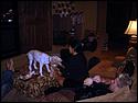 DSC00058.jpg
