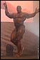 ronnie-coleman-bratislava-29.jpg