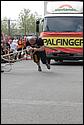 IMG_6173.jpg