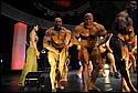 DSC_1194.JPG