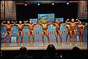 DSC_3297.JPG