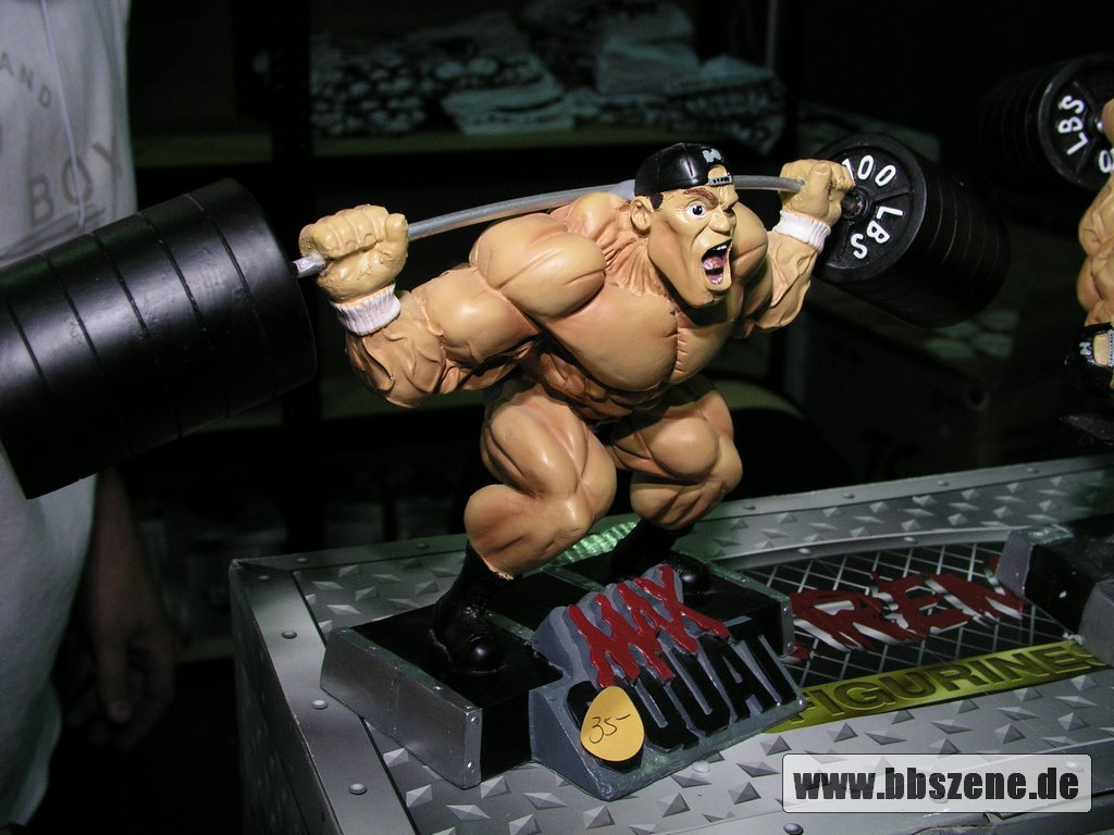 Denise masino forums