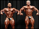 Branch Warren holt den Sieg, Dennis Wolf Zweiter, Victor Martinez Dritter, Evan Centopani 4., Dexter Jackson 5., Ronny Rockel 6. BBSzene On Tour is powered by <a href=http://www.body-attack.de target=_blank><u>Body Attack</u></a>.