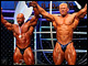Hier die Bilder (Achtung! Zwei Kameras nacheinander!) des Arnold Classic 2011 Finales. BBSzene On Tour is powered by <a href=http://www.body-attack.de target=_blank><u>Body Attack</u></a>.