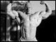 <a href=http://www.bbszene-shop.de/?hersteller=BSN target=_blank><u>BSN</u></a> hat einen schönen Mr. Olympia 2011 Clip mit Ihrem Zugpferd Dennis Wolf gebastelt, schaut rein.
