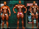 Hier die Bilder zur Europa Super Show 2011 in Dallas, vorerst vom Prejudging, das Finale folgt heute Nacht.