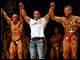 Hier die Bilder der NABBA Newcomer 2010, sowie der Night Of The Champions vom 16. Mai. Danke an FBBFan. BBSzene On Tour by <a href=http://www.body-attack.de target=_blank><u>Body Attack</u></a>.