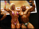 1414 Bilder der sehr schönen 2007er NABBA Universe aus England, Ergebnisliste inside.