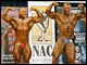 Mit Verspätung, da ich krank war, hier die Bilder der Deutschen Meisterschaft 2012, die der Newcomer Dorian Berger gewonnen hat. BBSzene On Tour is powered by <a href=http://www.body-attack.de target=_blank><u>Body Attack</u></a>.