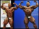 Kai Greene siegt bei der NY Pro 2011, Zweiter Ronny Rockel, Dritter Craig Richardson, 4. Beyeke, 5. Burneika. In der 202 siegt Jose Raymond.