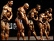 Wir haben hier für Euch den kompletten WABBA Ms. und Mr. Universe auf Film, Bilder könnt Ihr Euch bei <a href=http://www.bodybuilding-magazin.de/bodybuilding-artikel/wabba-universe-2010---finale/2909.htm><u>BodyXtreme</u></a> anschauen.
